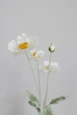 Artificial Cream Poppy 02-132