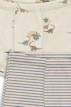 Basic 2 Pack Boy Boxers Gots Ks103693