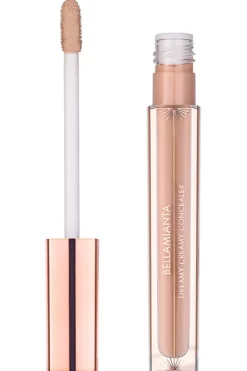 Dreamy Creamy Concealer