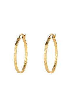 Fortune Teller Creol Earrings L VJ078-UEG-L