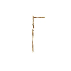 Goldenenen Reflection Earring