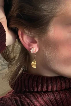 Hook With Goldenenen Refection Moon Earring Right