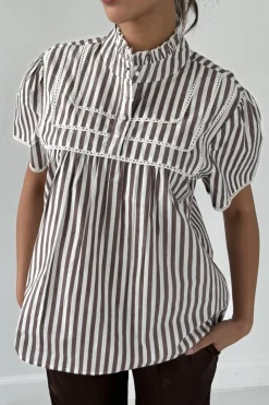 Isabella Brown S 14951