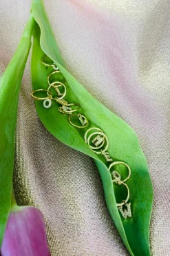 Kreol Bogstav Ørering