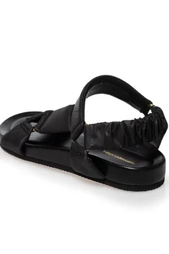 My Summer Days CS7823