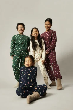 Nanvismas Ls Nightset