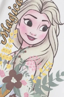 Nmfabla Frozen Ss Top Box Wdi