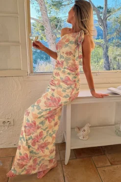 Novaic Mesh Dress A23799