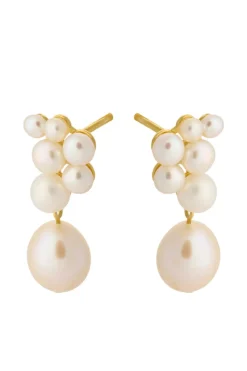 Ocean Treasure Earsticks