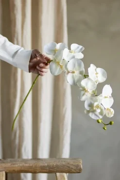 Orchid Stilk, Hvid, Kunstige Blomster 82072093