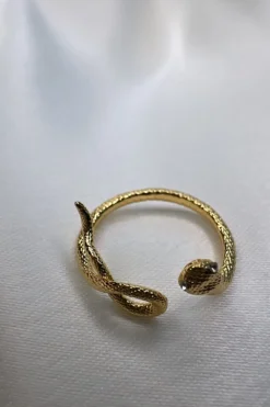 Poison Snake Ring
