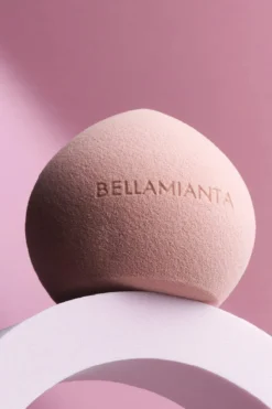 Round Beauty Blender Sponge