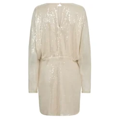 Serafincc Sequin Dress 36541