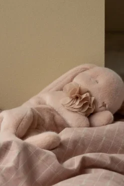 Sovende Plyskanin, Lille