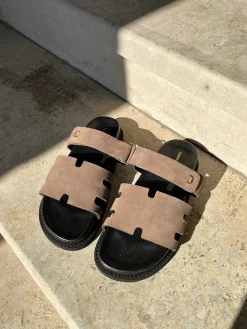 Summer Passion Plain CS8496