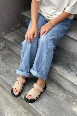 Summer Passion Plain CS8496