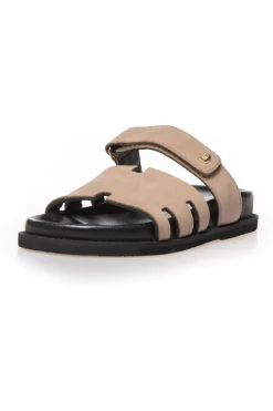 Summer Passion Plain CS8496