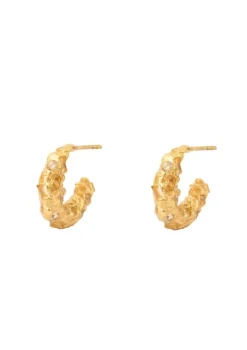 Trinket Hoop Earrings VJ194-UEG-Y