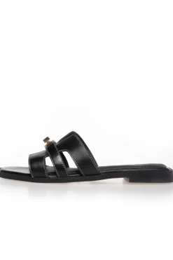 Women'S World CS8463